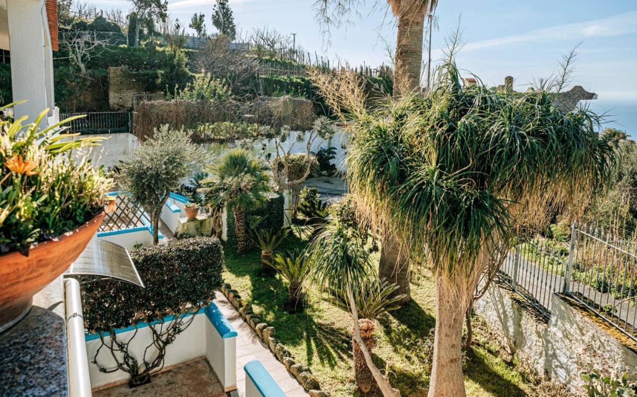 Appartamenti Ischia Casa Don Peppe Форио Экстерьер фото